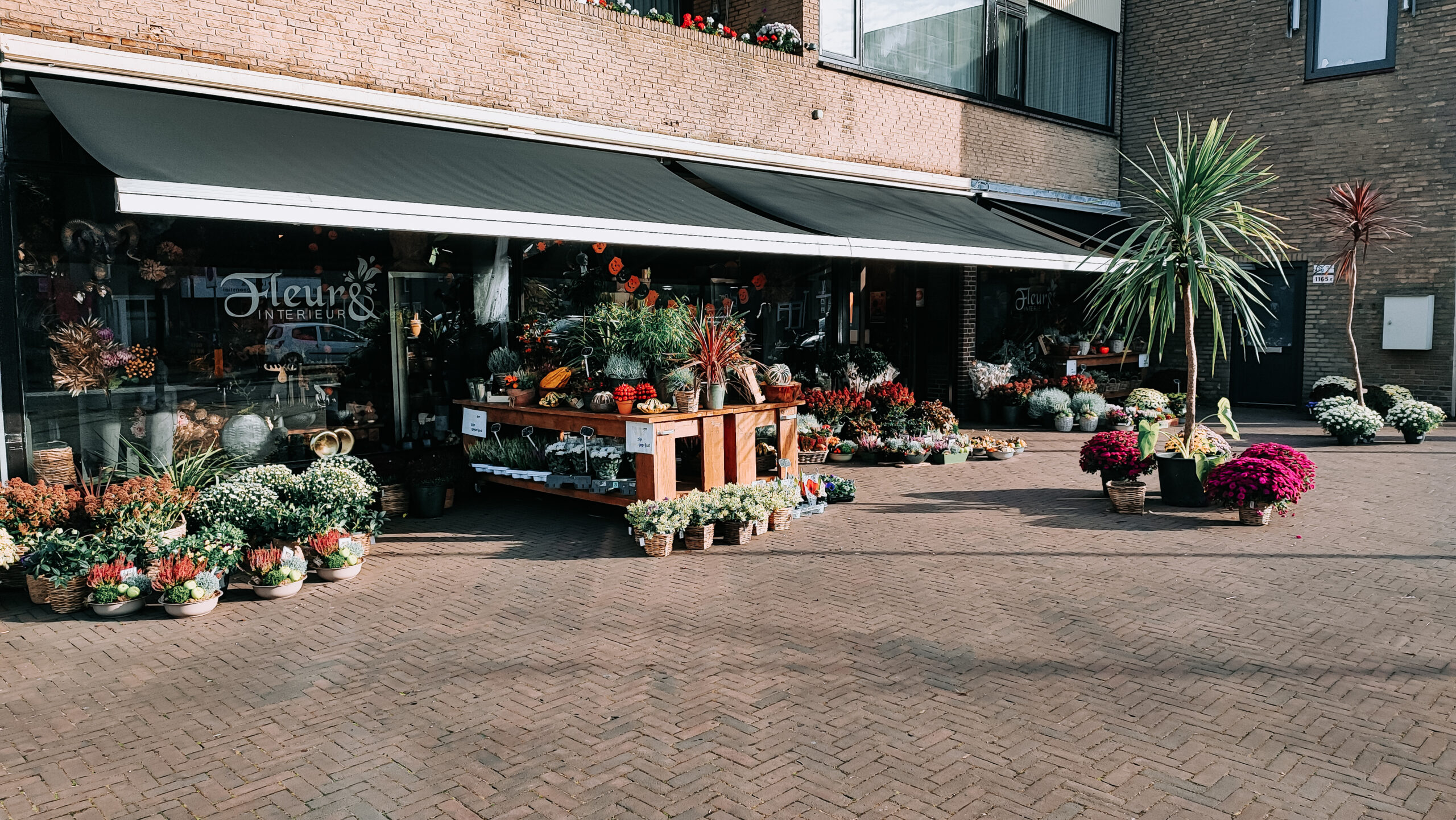 Fleur & Interieur
